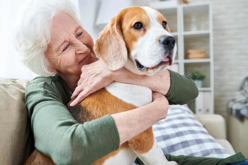Benefits of Pet Therapy For Seniors